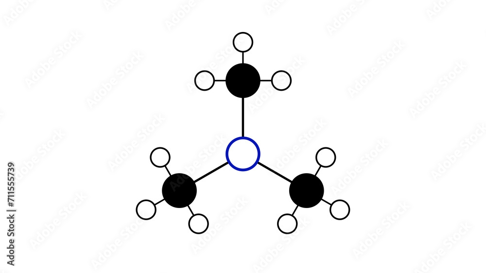 trimethylamine molecule, structural chemical formula, ball-and-stick model, isolated image trimethylated derivative of ammonia trimethylamine molecule, structural chemical formula, ball-and-stick model, isolated image trimethylated derivative of ammonia