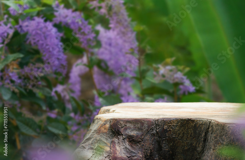 Wood tabletop podium floor in outdoors with blurred purple wreath flower forest plant nature background.Natural product perfume placement pedestal stand display,spring blooming concept.