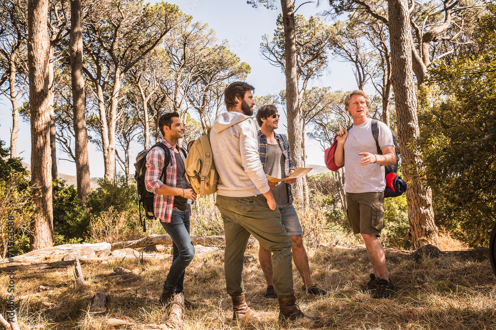 Freunde beim Campingtrip im Wald, Kapstadt, Südafrika Freunde beim Campingtrip im Wald, Kapstadt, Südafrika