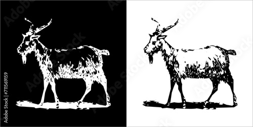  Illustration vector graphics of goat icon
