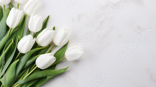 white tulips on a white background, space for text