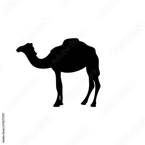 Camels Silhouette Vector 