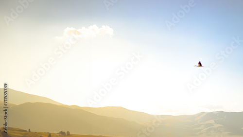 A solitary bird soars above a serene landscape, embodying freedom and the limitless possibilities of the skies, set against a softly lit backdrop of gentle hills. photo