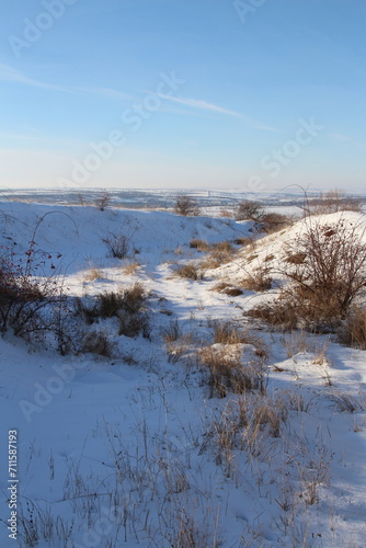 A snowy field with bushes and trees