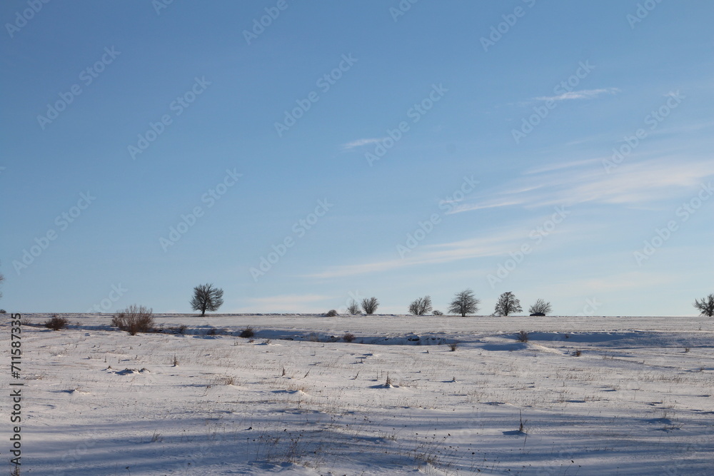 A snowy field with trees and blue sky