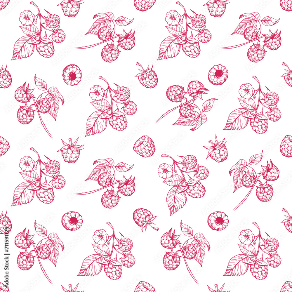 Raspberry berry with leaves illustrations, vector seamless pattern design, engraving style, floral elements for fabric, wallpaper Raspberry berry with leaves illustrations, vector seamless pattern design, engraving style, floral elements for fabric, wallpaper