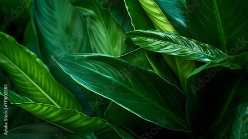Vibrant tropical leaves, Nature leaves, green tropical forest. Generative AI