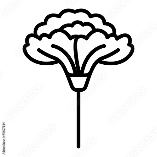 carnation outline icon