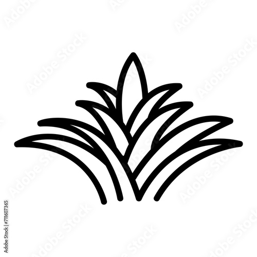 Slika na platnu bromeliad outline icon