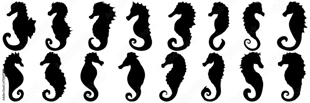 Obraz premium Seahorse silhouettes set, large pack of vector silhouette design, isolated white background