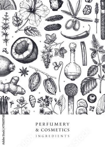Aromatic plants flyer template. Perfumery ingredients banner. Flower, fruit, spice, herb sketches. Hand drawn vector illustration. Cosmetics packaging design
