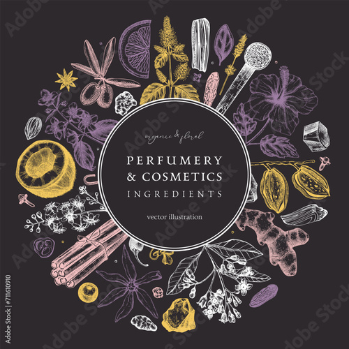 Aromatic plants wreath. Perfumery and cosmetics ingredients banner. Flower, fruit, spice, herb sketches. Hand drawn vector illustration. Packaging design template.