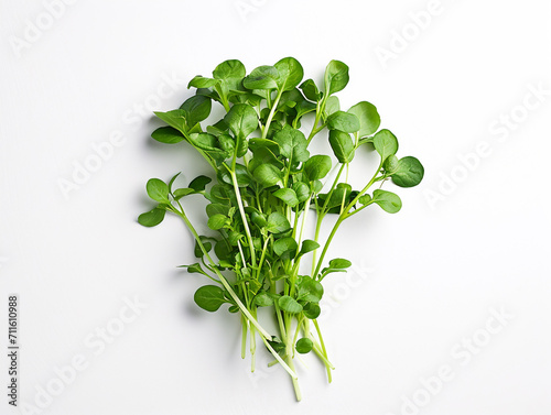 Watercress vegetable isolated on white background. Minimalist style.  