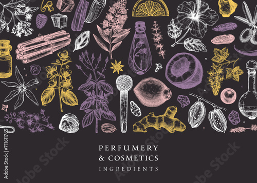 Aromatic plants background. Perfumery ingredients banner. Flower, fruit, spice, herb sketches. Hand drawn vector illustration. Cosmetics packaging design template.