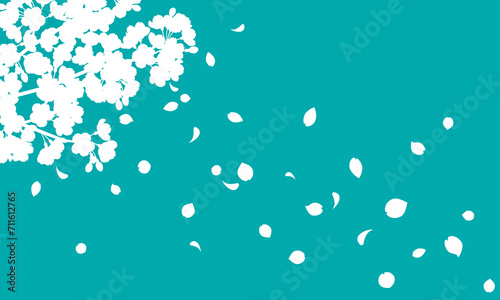 Vector illustration of cherry blossom silhouette background with falling petals (green)