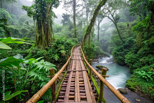 archaic suspension bridge crossing the jungle