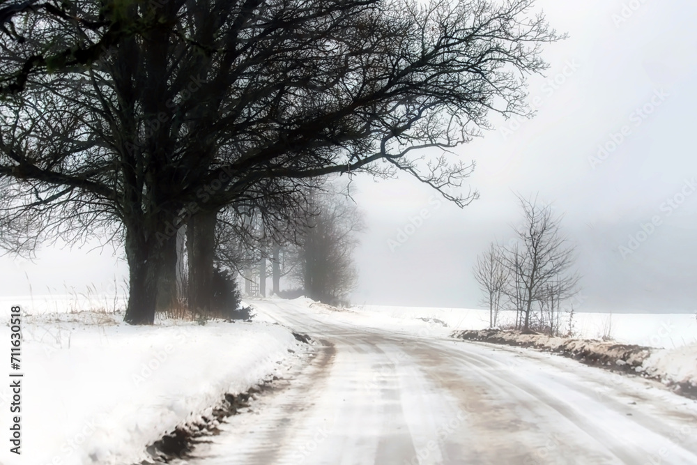 Obraz premium - foggy landscape with country road in winter