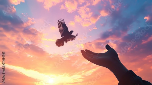 Silhouette's hand and bird flying in beautiful sky © buraratn