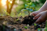 Hands of child holding green seedling in soil on nature background