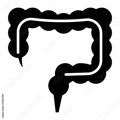 Large Intestine icon vector image. Can be used for Human Anatomy. photo