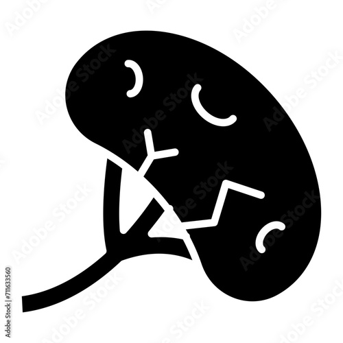 Spleen icon vector image. Can be used for Human Anatomy. photo