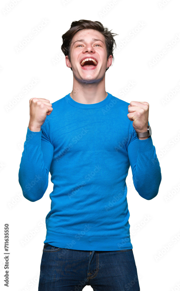 Young handsome man wearing blue sweater over isolated background celebrating surprised and amazed for success with arms raised and open eyes. Winner concept. Young handsome man wearing blue sweater over isolated background celebrating surprised and amazed for success with arms raised and open eyes. Winner concept.