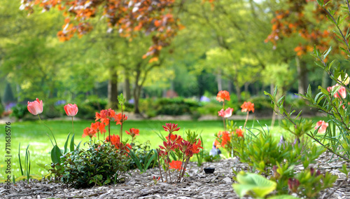 mulched flower bed in a public park and foliage of trees above