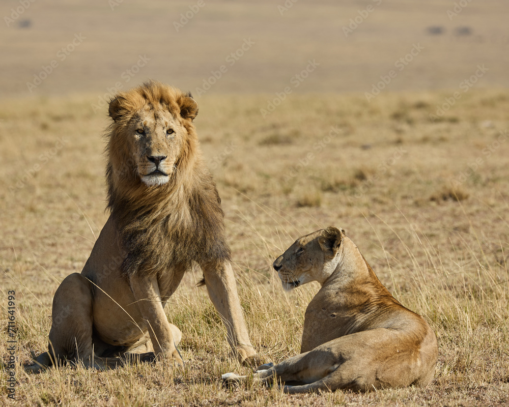 Naklejka premium 2023