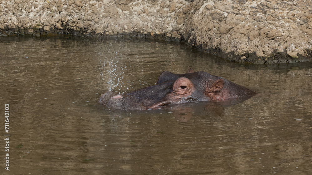 Fototapeta premium 2023
