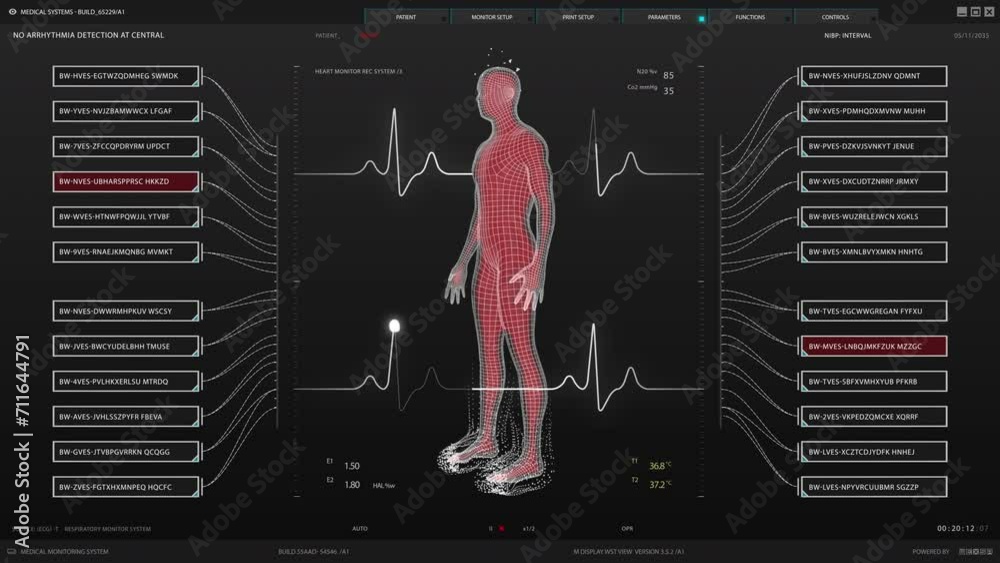 Mockup Screen Template: Software Displaying Vital Activities for ...