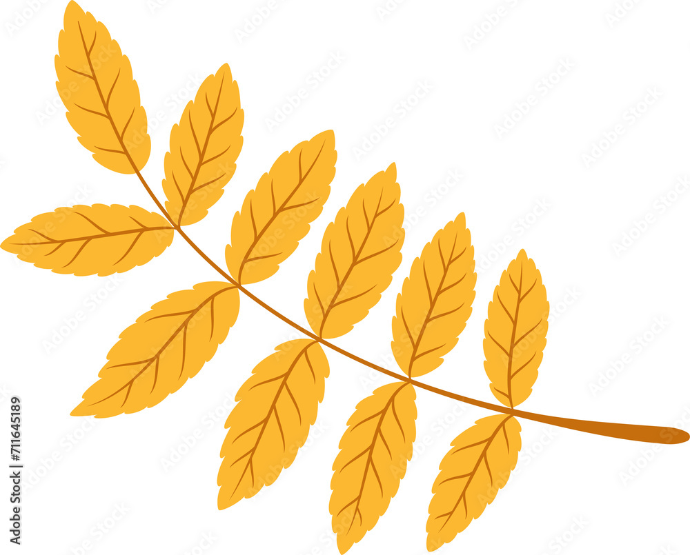 Yellow leaves branch isolated spring decor element Yellow leaves branch isolated spring decor element