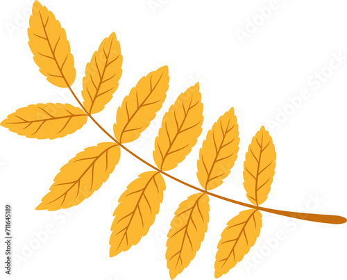Yellow leaves branch isolated spring decor element