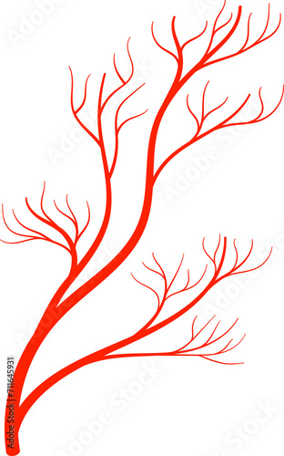 Veins tree in human body, blood bloodstream vessel