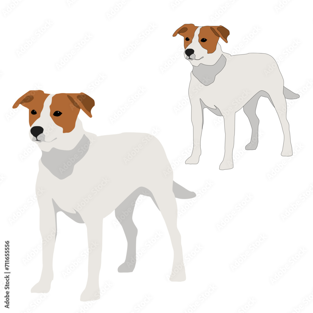 Vector white dog with brown spots standing isolated on white background