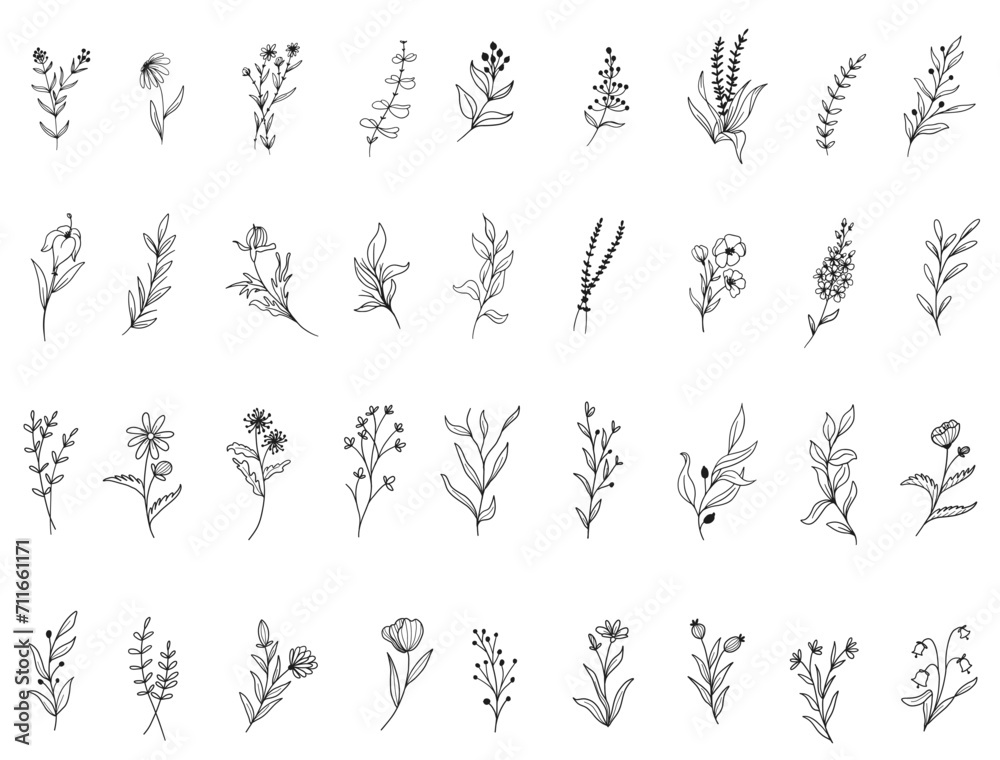 Botanical Flowers silhouette vector art