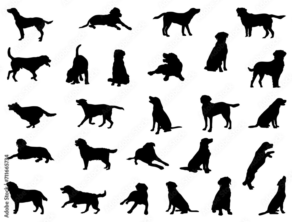 Labrador silhouette vector art white background
