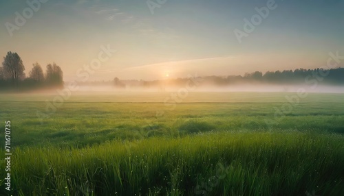 Green rice fields natural landscapes with clear sky. Fog in the valley. Sunlight entering the valley and on the mountains. Beautiful summer morning.ai generated