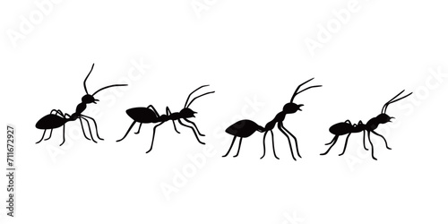 ant silhouette design. small animal sign and symbol. photo