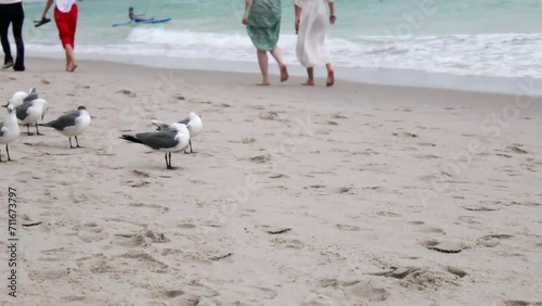 A warm summer day on the beach in Miami