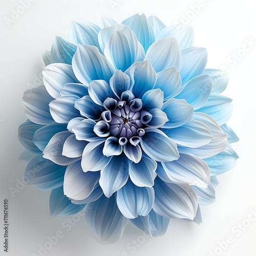 Beautiful light blue flower on a white background