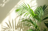 Summer minimal background with shadow from natural palm leaf.
