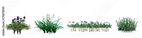 3d rendering shrub and flower  isolated cut background
