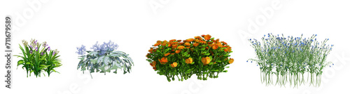 3d rendering shrub and flower isolated cut background 