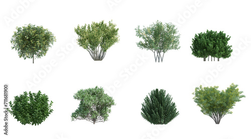 Print op canvas 3d rendering shrub and flower  isolated cut background