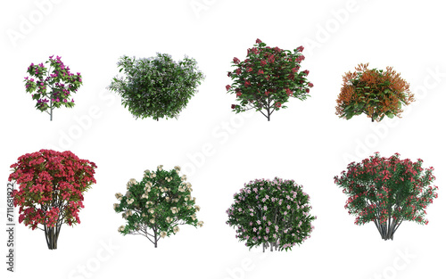 3d rendering shrub and flower  isolated cut background

