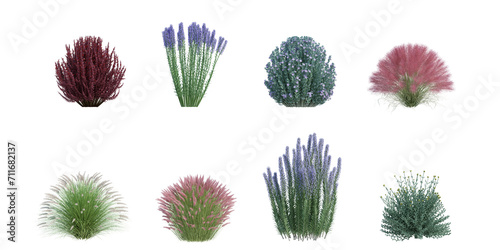 3d rendering shrub and flower  isolated cut background
