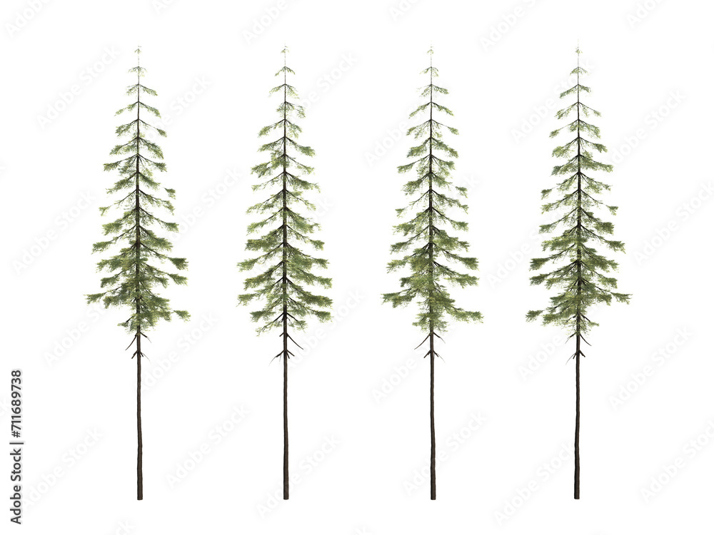 3d rendering tree isolated cut background
