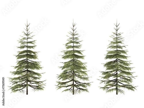 3d rendering tree isolated cut background © nuttapol