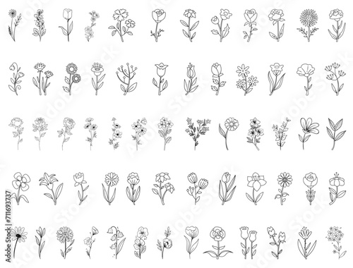 Botanical Flowers silhouette vector art