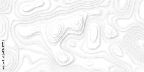 Abstract paper carve template. abstract white 3d papercut topography relief vector background illustration. topographic canyon geometric map relief texture with curved layers and shadow.